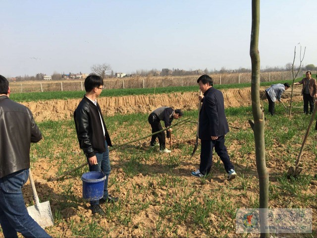 孝感高中在精準(zhǔn)扶貧聯(lián)系村開展植樹活動(dòng)