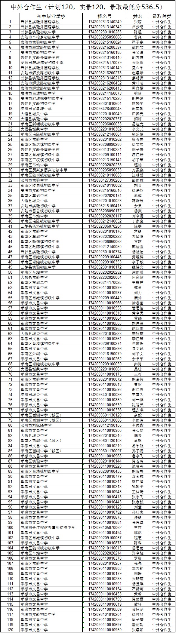 2017年中外合作部錄取名單